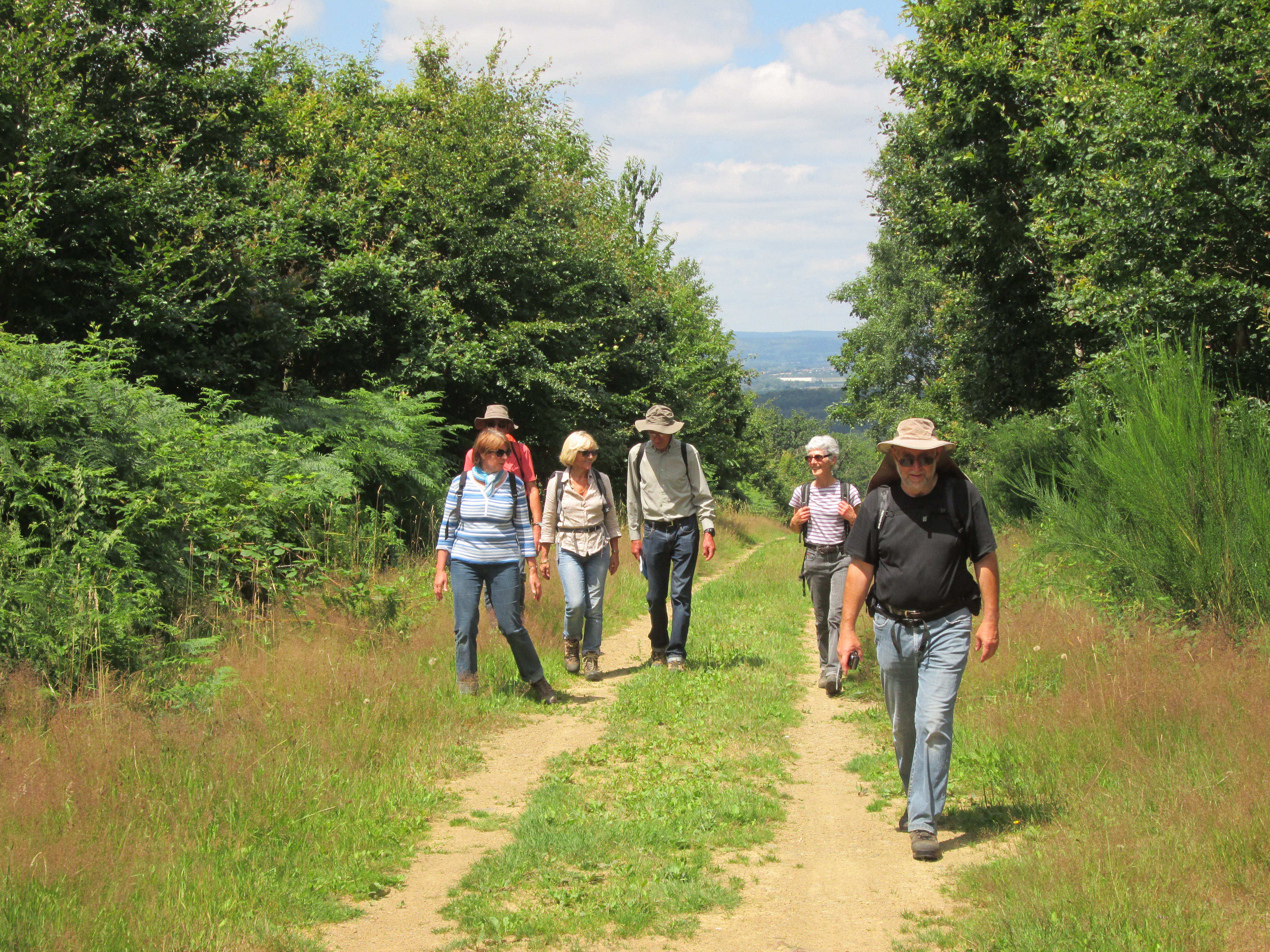 Chemin randonnée